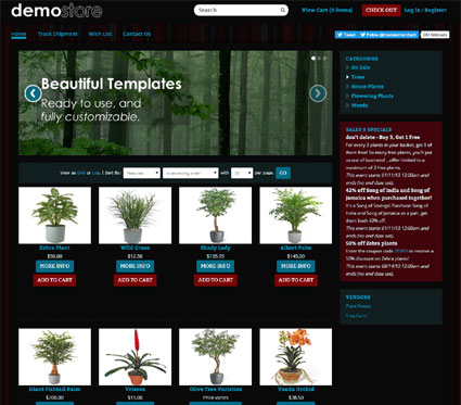 View a demo of the blakeley Template Package