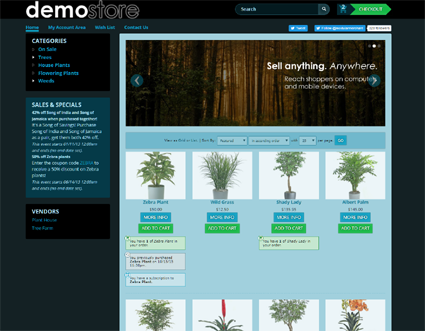 View a demo of the elmonica Template Package